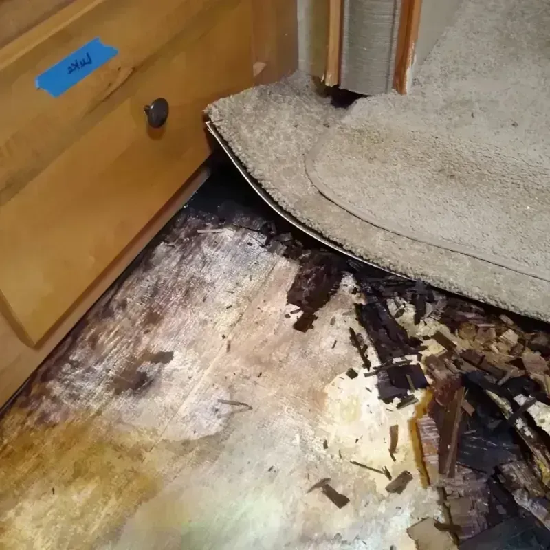 Best Wood Floor Water Damage Service in Gilbert Creek, WV